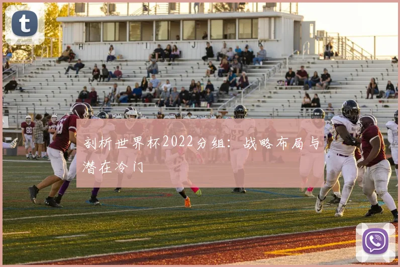 剖析世界杯2022分组：战略布局与潜在冷门