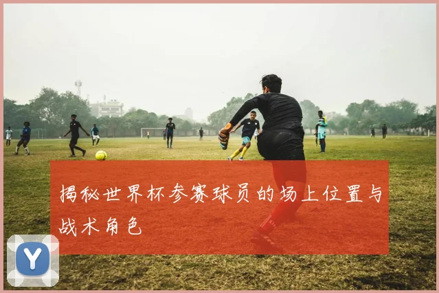 揭秘世界杯参赛球员的场上位置与战术角色