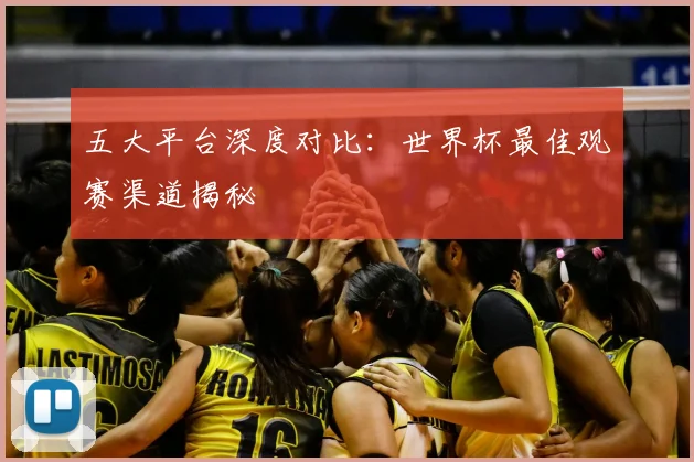 五大平台深度对比：世界杯最佳观赛渠道揭秘