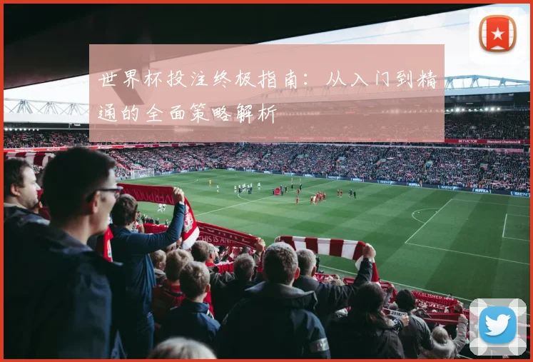 世界杯投注终极指南：从入门到精通的全面策略解析
