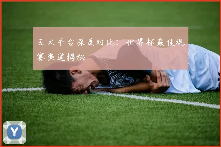 五大平台深度对比：世界杯最佳观赛渠道揭秘