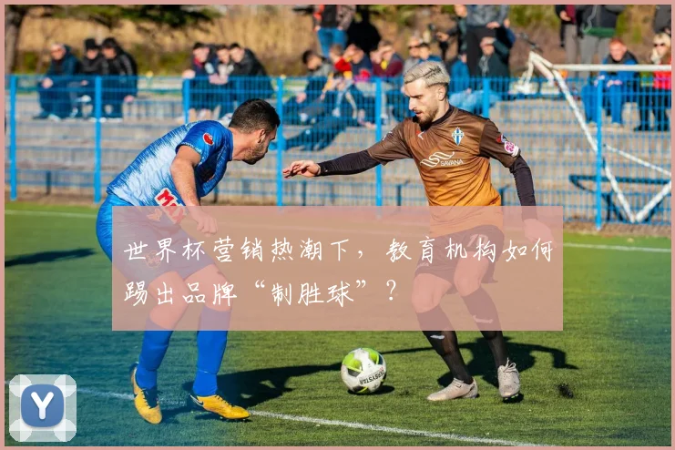 世界杯营销热潮下，教育机构如何踢出品牌“制胜球”？