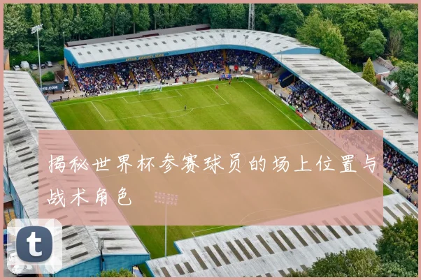 揭秘世界杯参赛球员的场上位置与战术角色